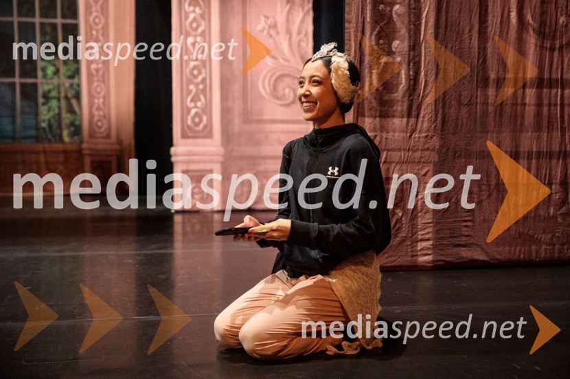 Labodje jezero, balet