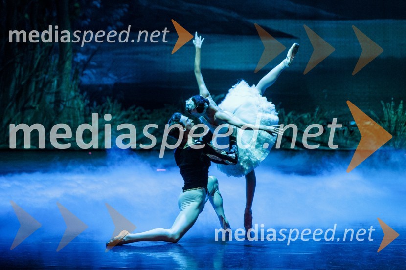 Labodje jezero, balet