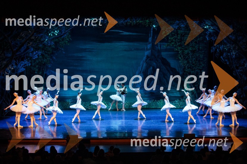 Labodje jezero, balet