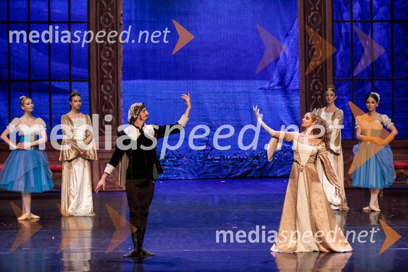 Labodje jezero, balet