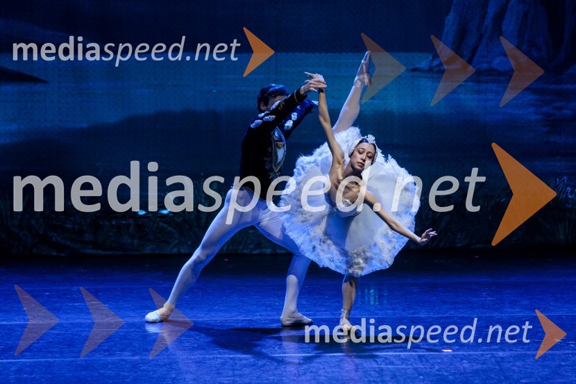 Labodje jezero, balet