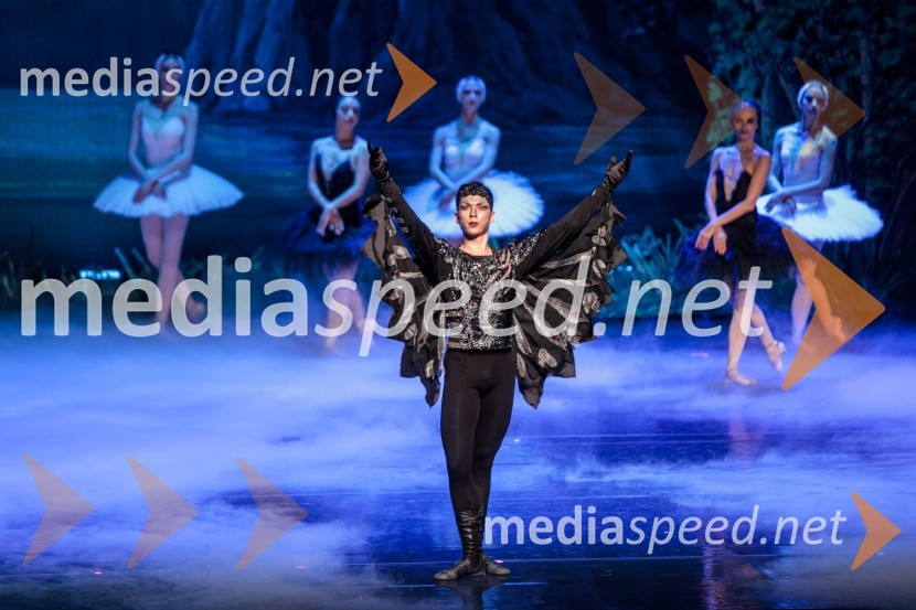 Labodje jezero, balet