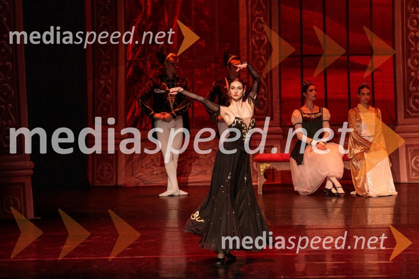 Labodje jezero, balet