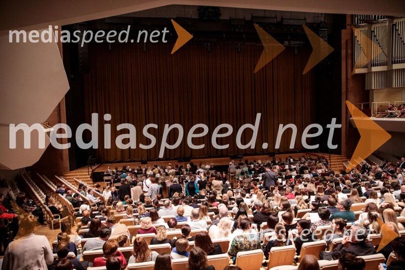 Labodje jezero, balet