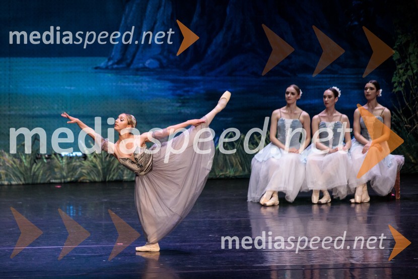 Labodje jezero, balet