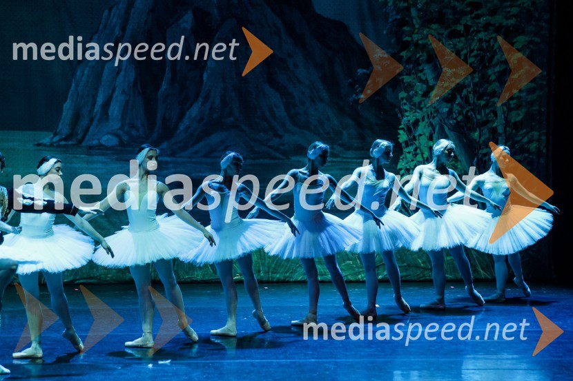 Labodje jezero, balet