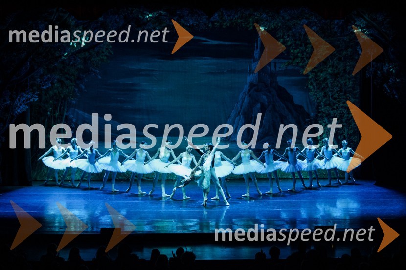 Labodje jezero, balet