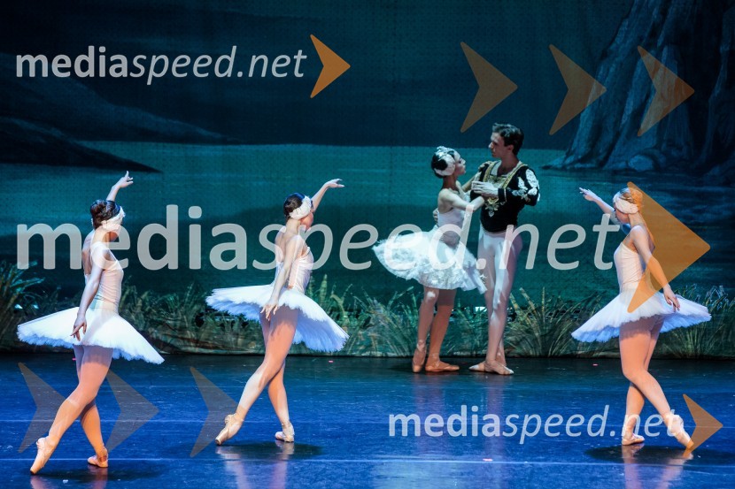 Labodje jezero, balet