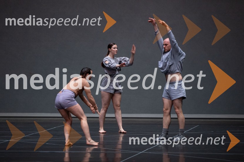  Naomi Gibson, plesalka;  ... ;  Ty Boomershine, plesalecJan Martens / GRIP v sodelovanju z Dance On Ensemble: vsak poskus se bo končal z zdrobljenimi telesi in zlomljenimi kostmi, plesna predstava, Cankarjev dom