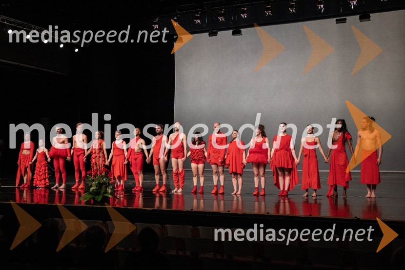 Jan Martens / GRIP v sodelovanju z Dance On Ensemble: vsak poskus se bo končal z zdrobljenimi telesi in zlomljenimi kostmi, plesna predstava, Cankarjev dom