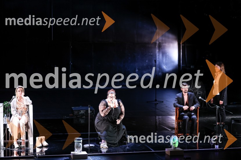  Mojca Funkl, igralka;  Ana Facchini, igralka;  Žiga Udir, igralec;  Medea Novak, igralkaKAOS, premiera črne komedije, SNG Nova Gorica