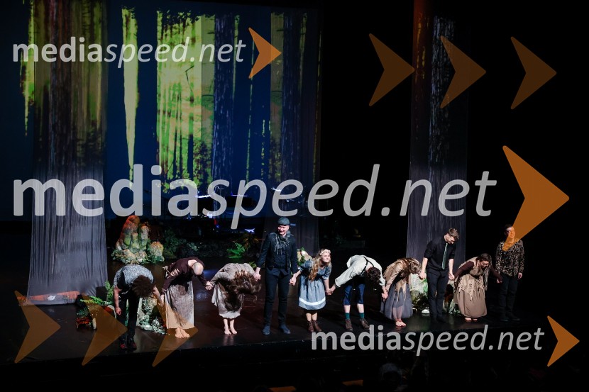  Janez Dovč, glasbenik;  Metod Banko, pevec, kitarist, Momento Cigano;  Veronika Kumar, pevka;  Robi Pikl, glasbenik;  Laura Krajnc, igralka;  Matej Zemljič, igralec;  Simona Kočar, plesalka;  Tomaž Zevnik, klarinet, glasbena zasedba Gugutke;  Zvezdana Novaković , pevka, harfistka, igralka, performerka;  Goran  Krmac, glasbenikKresna noč, premiera družinskega muzikala v Cankarjevem domu