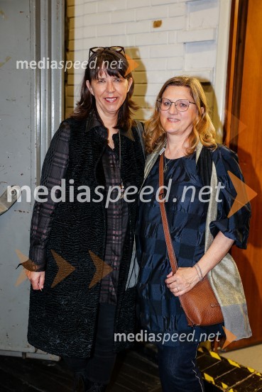  Barbara Rogelj, vodja humanističnega in kulturno-vzgojnega programa, Cankarjev dom;  Irena Androjna , lektoricaKresna noč, premiera družinskega muzikala v Cankarjevem domu