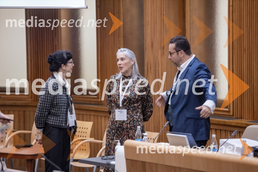  dr. Jerca  Legan, antropologinja, strokovna svetovalka za strateško komuniciranje;  Maria Rosa Rotondo, predsednica, PACE;  Mihael Cigler, mednarodni registrirani lobist in predsednik združenja lobistov, direktor mednarodnega podjetja MC Public Affairs v LondonuMednarodni PACE dogodek v soorganizaciji Združenja za zakonito lobiranje