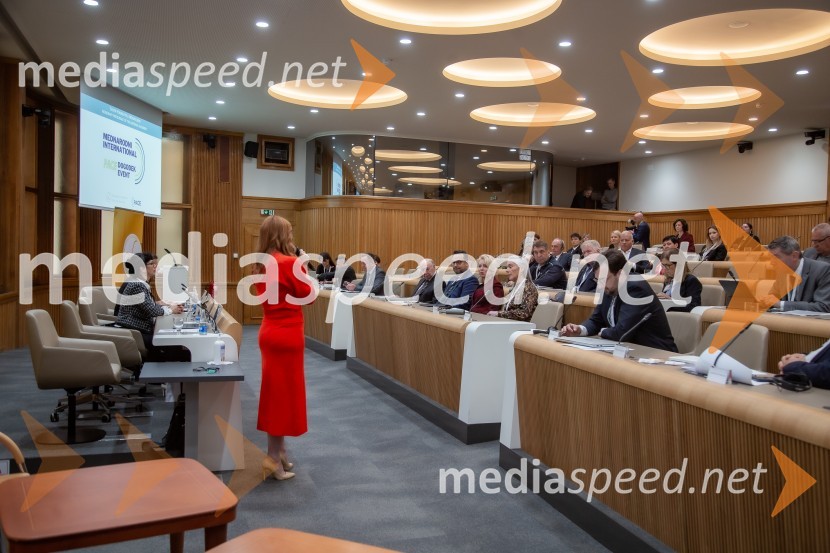  Mojca Mavec, voditeljicaMednarodni PACE dogodek v soorganizaciji Združenja za zakonito lobiranje