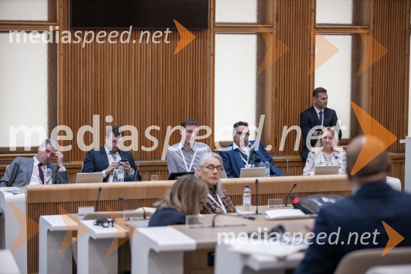  Dominik Meier, predsednik nemškega združenja za lobiranje de'ge'pol;  Vaclav Nekvapil, predsednik češkega združenja lobistov APA;  Matti Van Hacke, predsednik belgijskega lobističnega združenja Bepact;  Mihael Cigler, mednarodni registrirani lobist in predsednik združenja lobistov, direktor mednarodnega podjetja MC Public Affairs v Londonu;  Laura Florea, podpredsednica romunskega lobističnega združenja ARRL ;  Domenique ReberMednarodni PACE dogodek v soorganizaciji Združenja za zakonito lobiranje