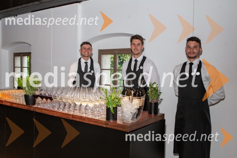 Sprejem na Ljubljanskem gradu pri podžupanu Dejanu Crneku v okviru mednarodnega PACE dogodka