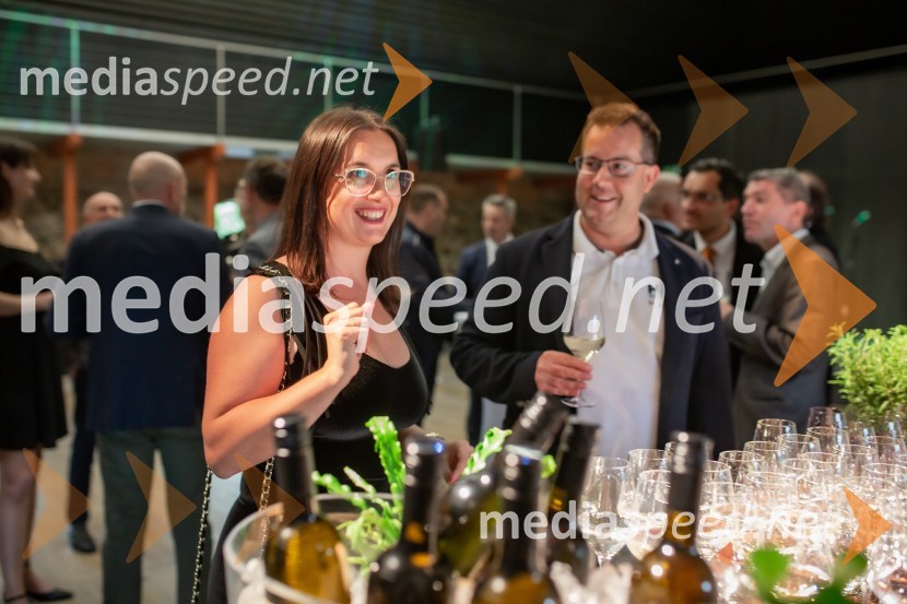  Hermina Steržaj, odgovorna za organizacijo, MCPA SI;  ... Sprejem na Ljubljanskem gradu pri podžupanu Dejanu Crneku v okviru mednarodnega PACE dogodka