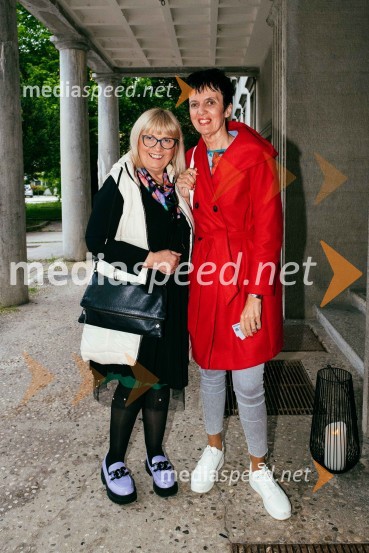  Metka Hojnik Verdev, predsednica, Svet SLG Celje; mag. Andreja Jelen Mernik, Šolski center Celje, Višja strokovna šolaTega okusa še niste poskusili, premiera v SLG Celje