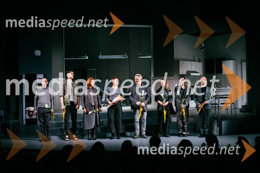  David Čeh, igralec;  Urban Kuntarič, igralec;  Barbara Medvešček, igralka;  Tanja Potočnik, igralka;  Branko Završan, igralec;  Manca  Ogorevc, igralka;  Lucija Harum, igralka, pevka;  Damjan M. Trbovc, igralecTega okusa še niste poskusili, premiera v SLG Celje