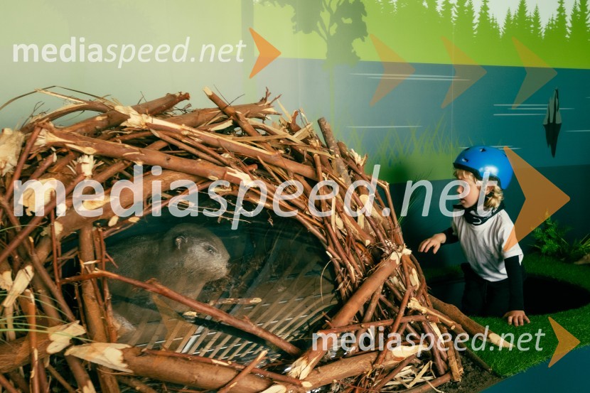 2. Bobrovo bicikliranje in vzpon na Boč