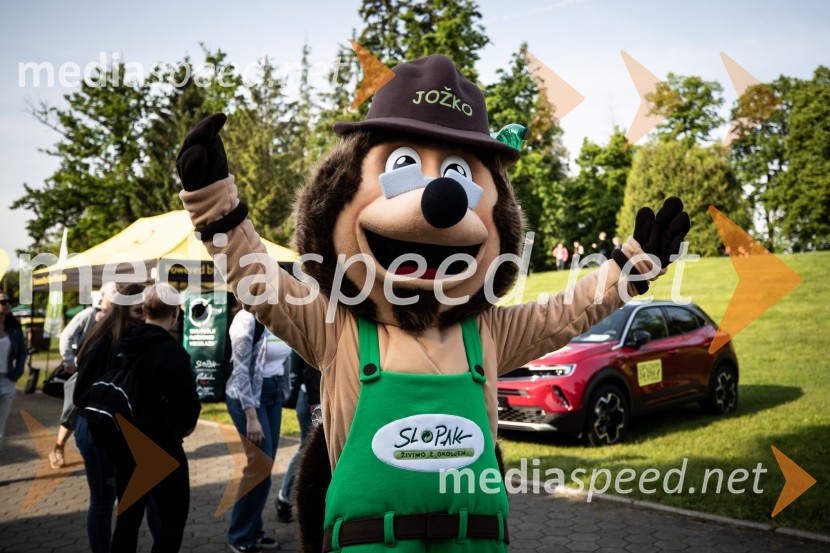 41. Maraton treh src