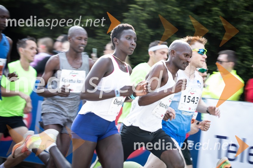 41. Maraton treh src