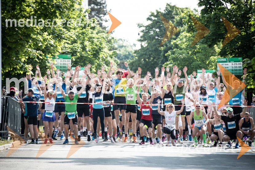 41. Maraton treh src