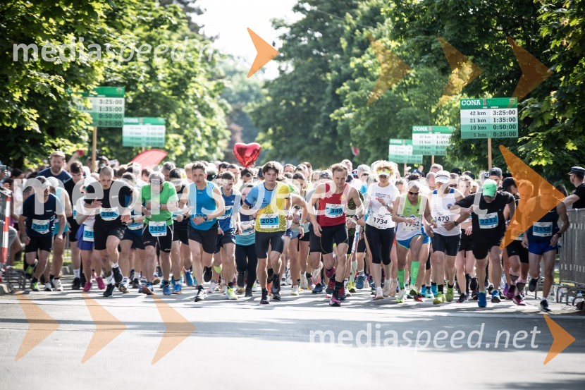 41. Maraton treh src