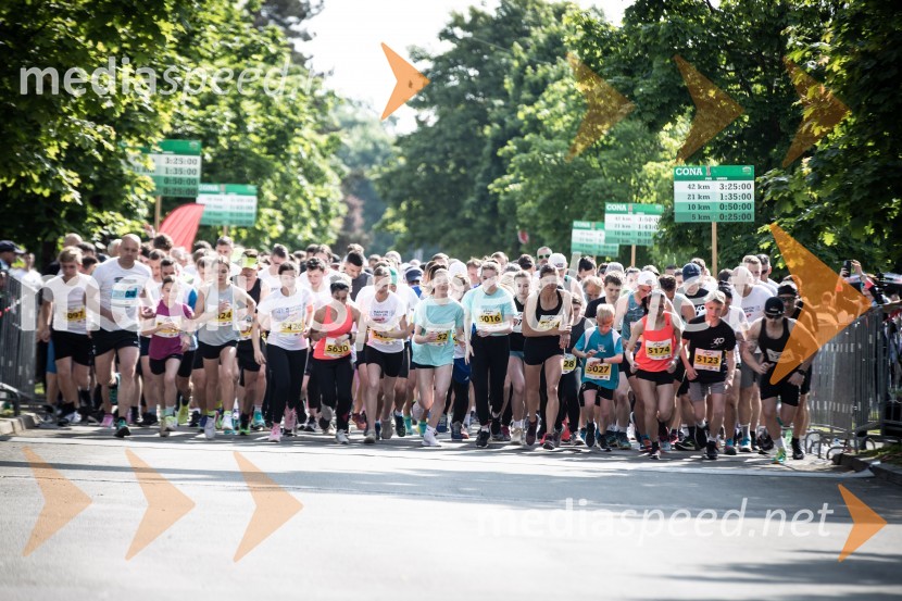 41. Maraton treh src