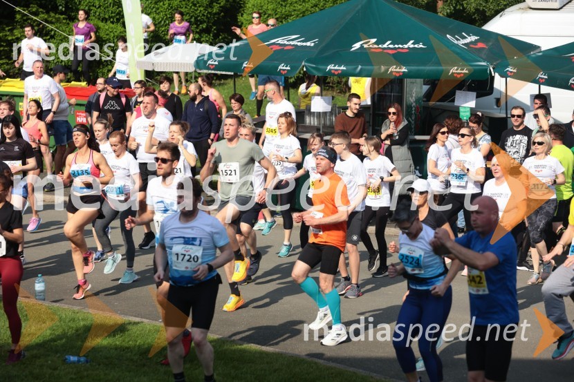 41. Maraton treh src