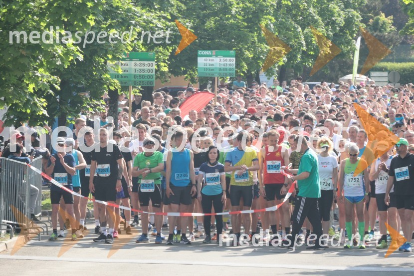 41. Maraton treh src