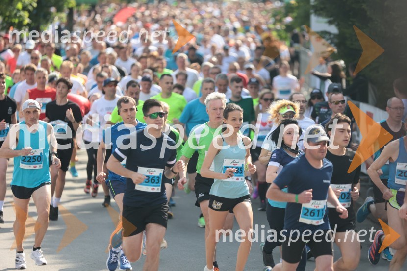 41. Maraton treh src