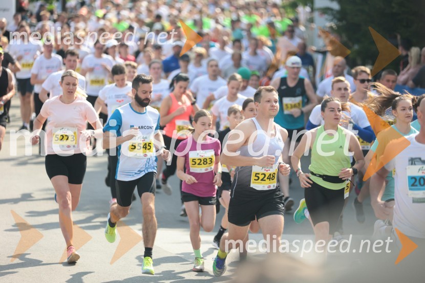 41. Maraton treh src