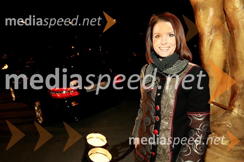 Bernarda Žarn, TV voditeljica in Femme Fatale 2008Viktorji 2008, zaključna zabava na Gospodarskem razstavišču