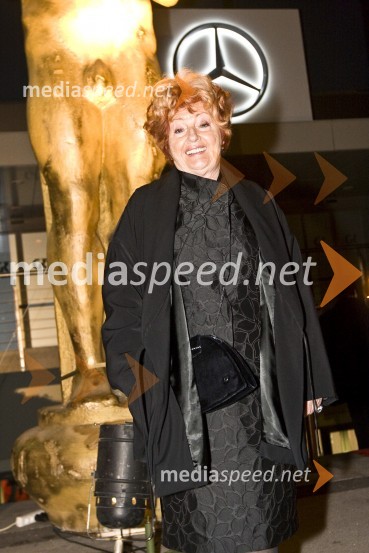 Bernarda Jeklin, nekdanja urednica Jane in dobitnica Viktorja za življenjsko deloViktorji 2008, zaključna zabava na Gospodarskem razstavišču