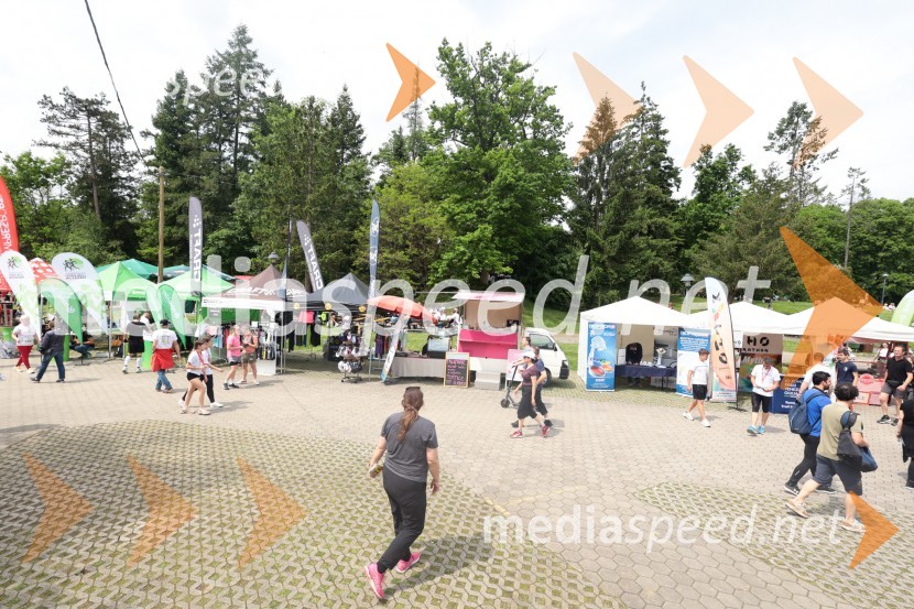 41. Maraton treh src