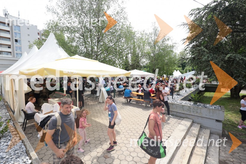 41. Maraton treh src