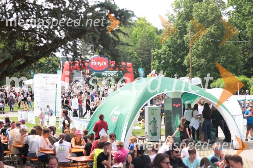 41. Maraton treh src