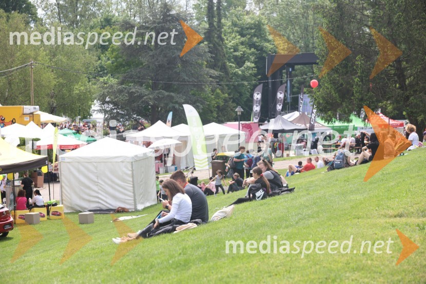 41. Maraton treh src