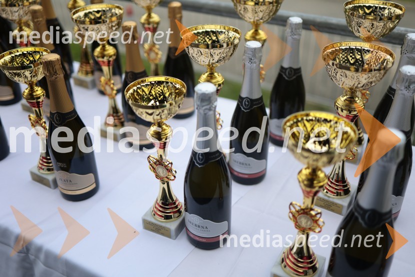 41. Maraton treh src