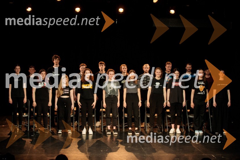 Poslednji kanček fikcije, premiera v SMG Ljubljana