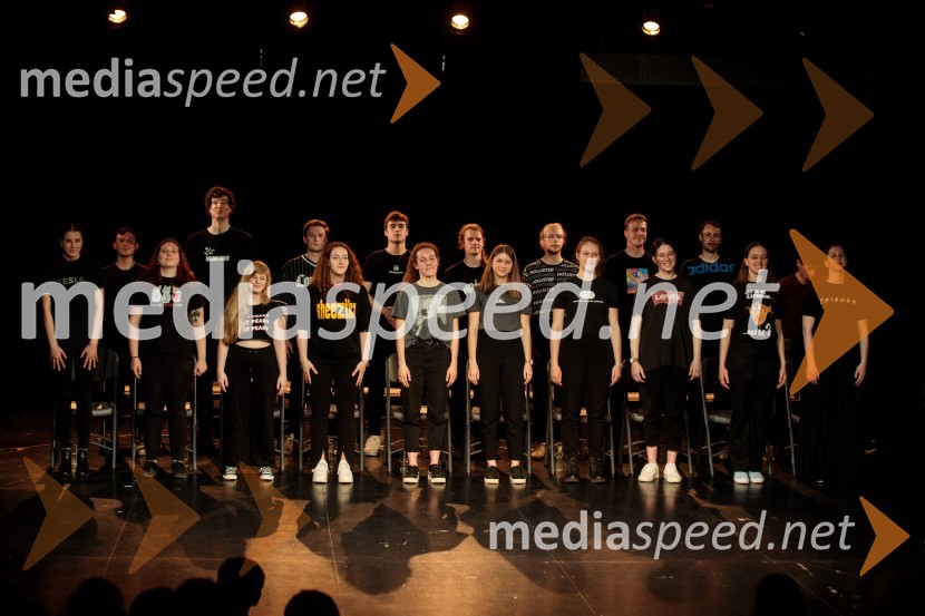 Poslednji kanček fikcije, premiera v SMG Ljubljana