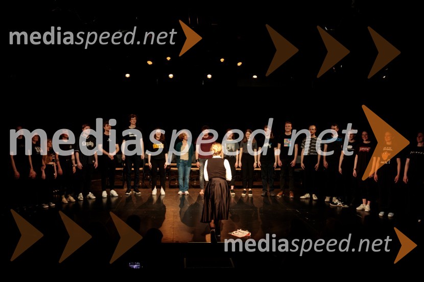 Poslednji kanček fikcije, premiera v SMG Ljubljana