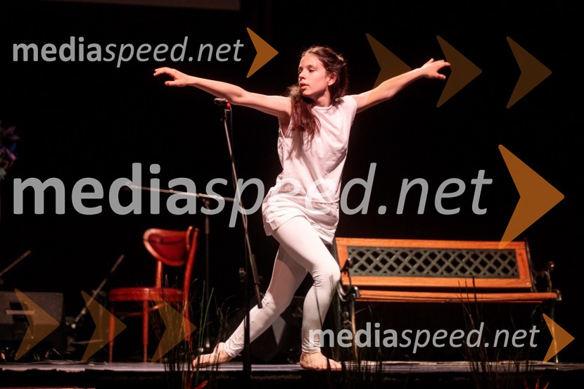 Slavnostna prireditev ob 60-letnici Pionirskega doma