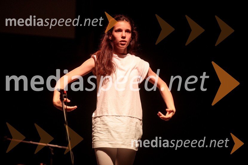 Slavnostna prireditev ob 60-letnici Pionirskega doma