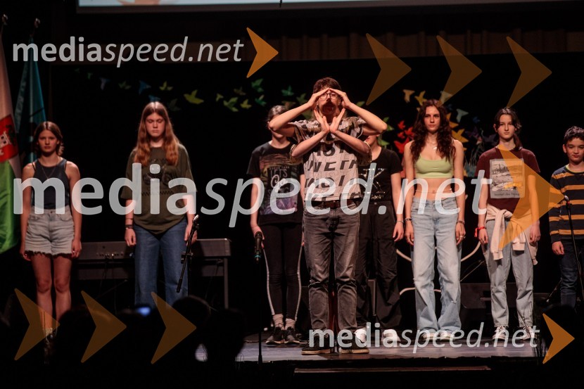 Slavnostna prireditev ob 60-letnici Pionirskega doma