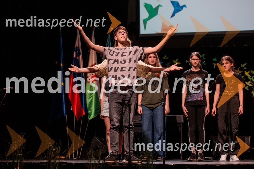 Slavnostna prireditev ob 60-letnici Pionirskega doma