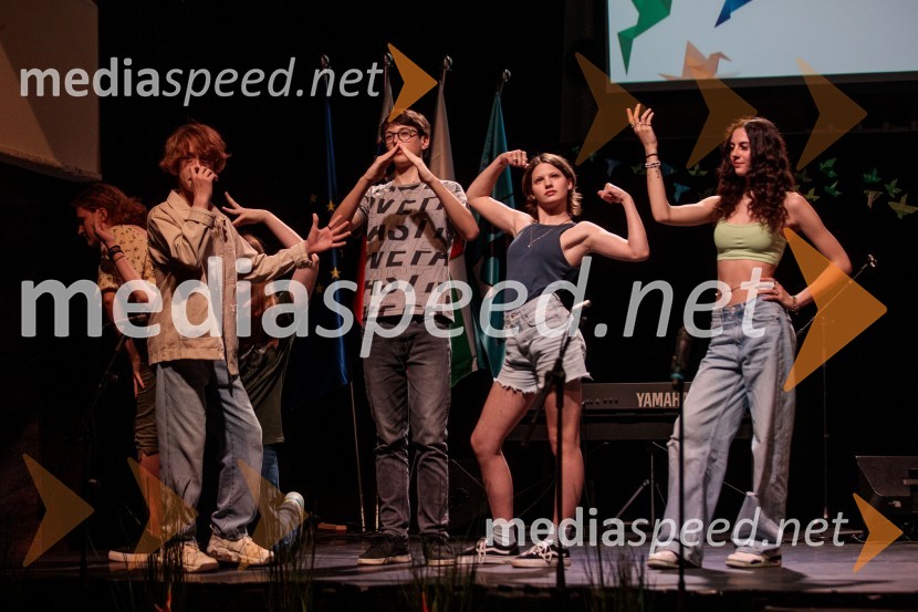 Slavnostna prireditev ob 60-letnici Pionirskega doma