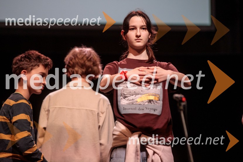 Slavnostna prireditev ob 60-letnici Pionirskega doma